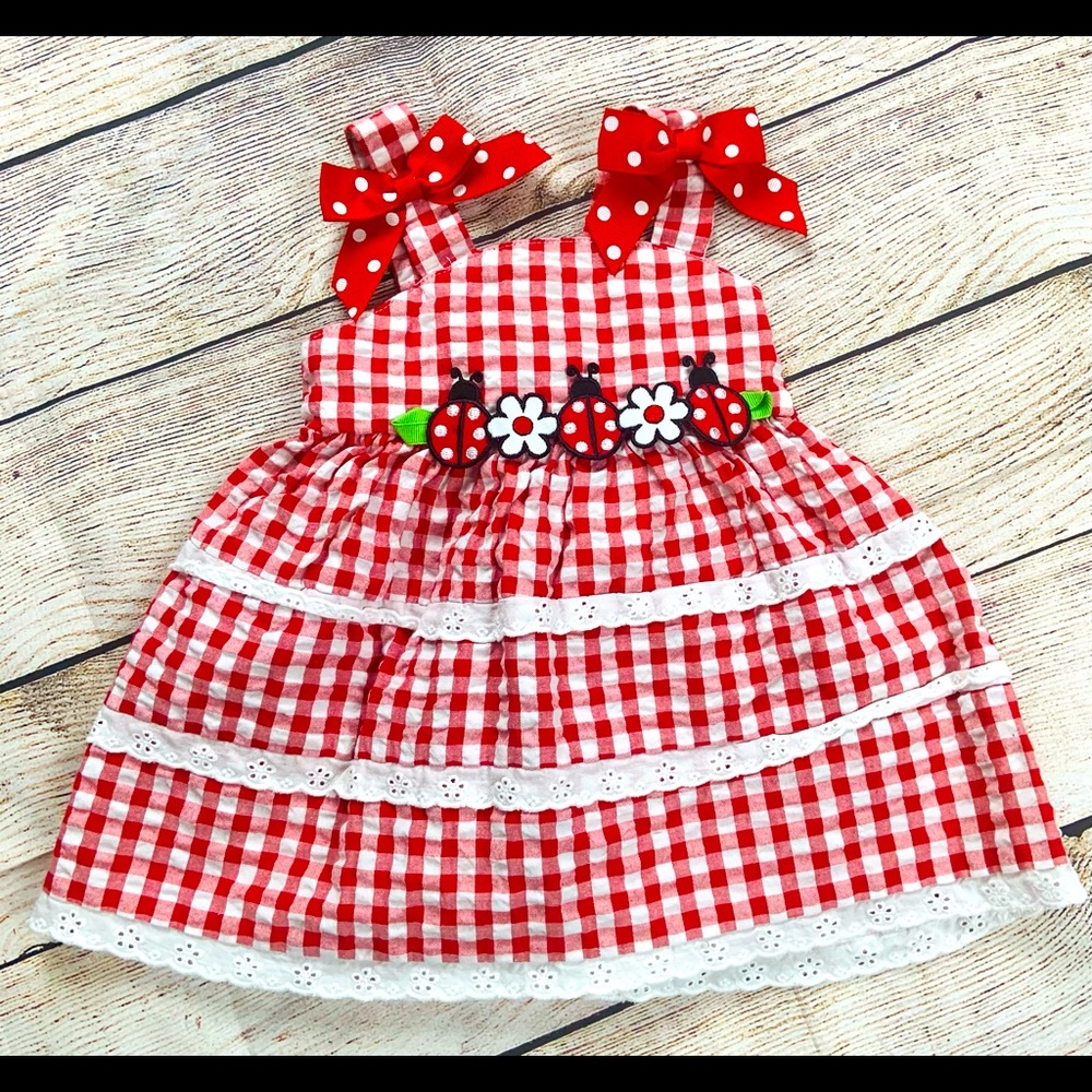 Sophie rose lady bug dress🐞